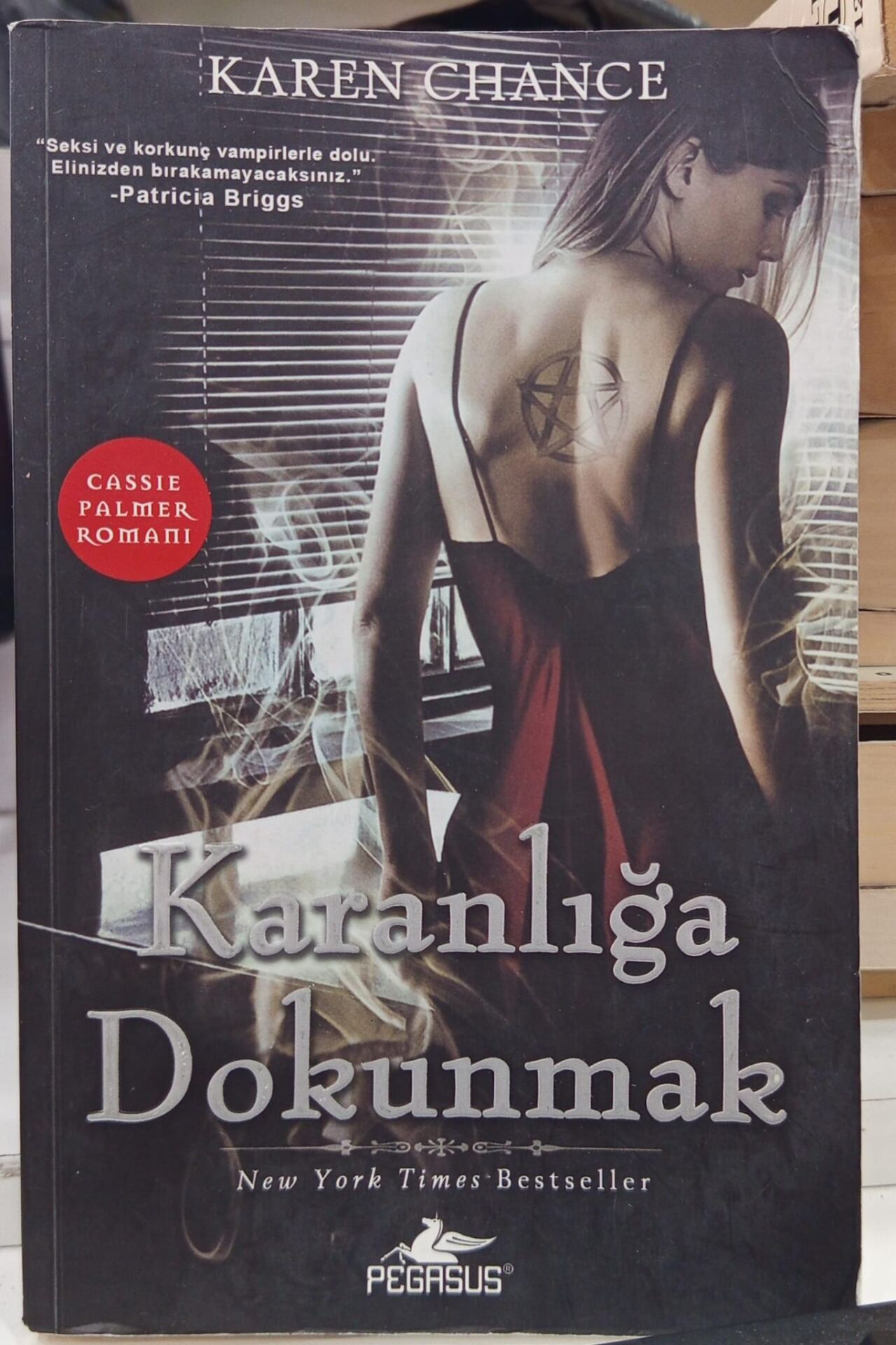 Karanlığa Dokunmak - Karen Chance