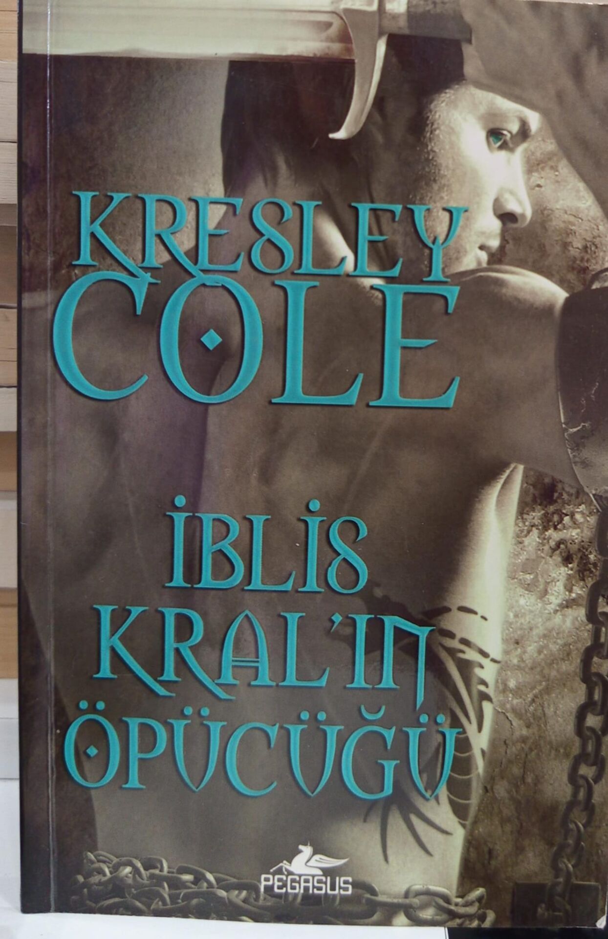 İblis Kral’ın Öpücüğü - Kresley Cole