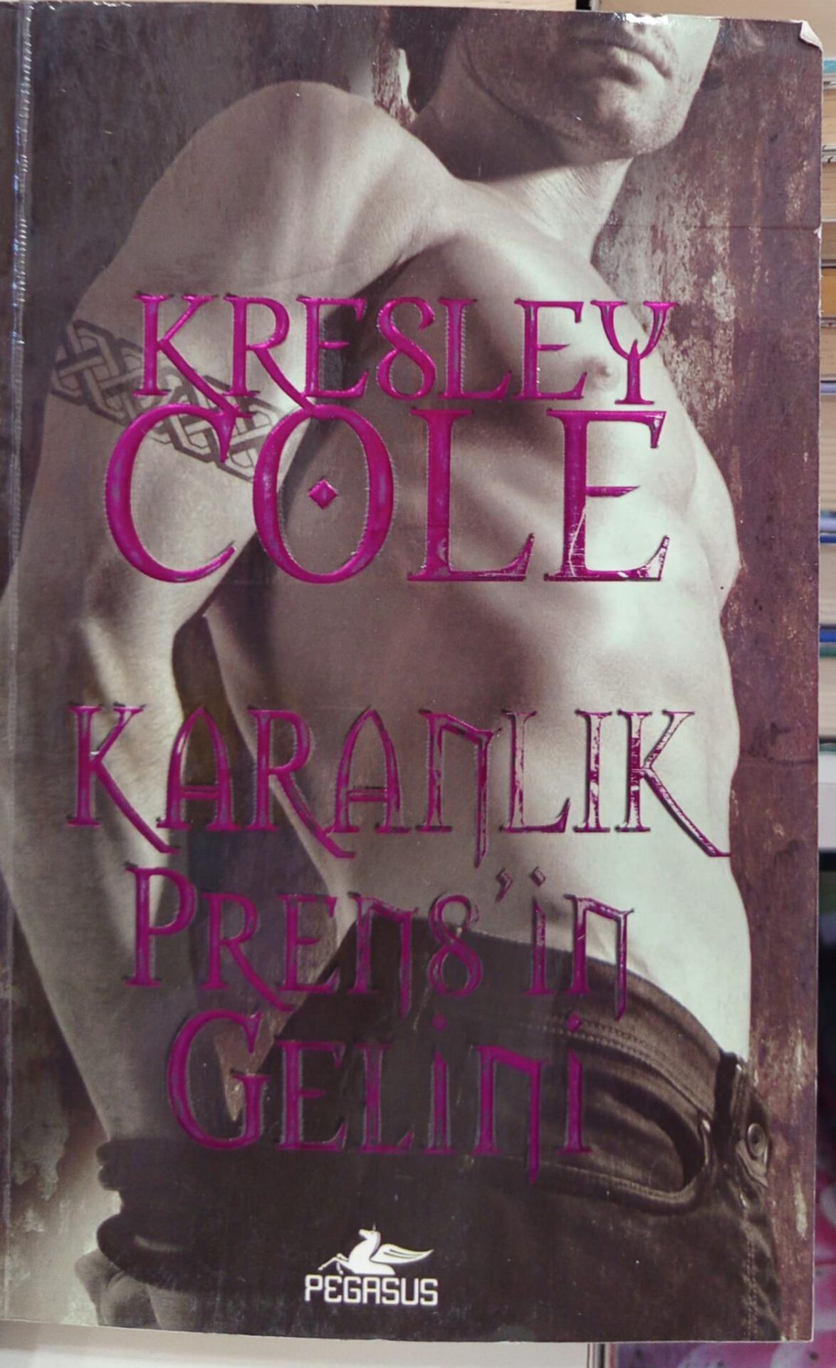 Karanlık Prens'in Gelini - Kresley Cole