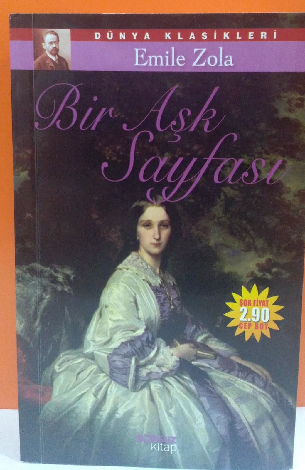 Bir Aşk Sayfası