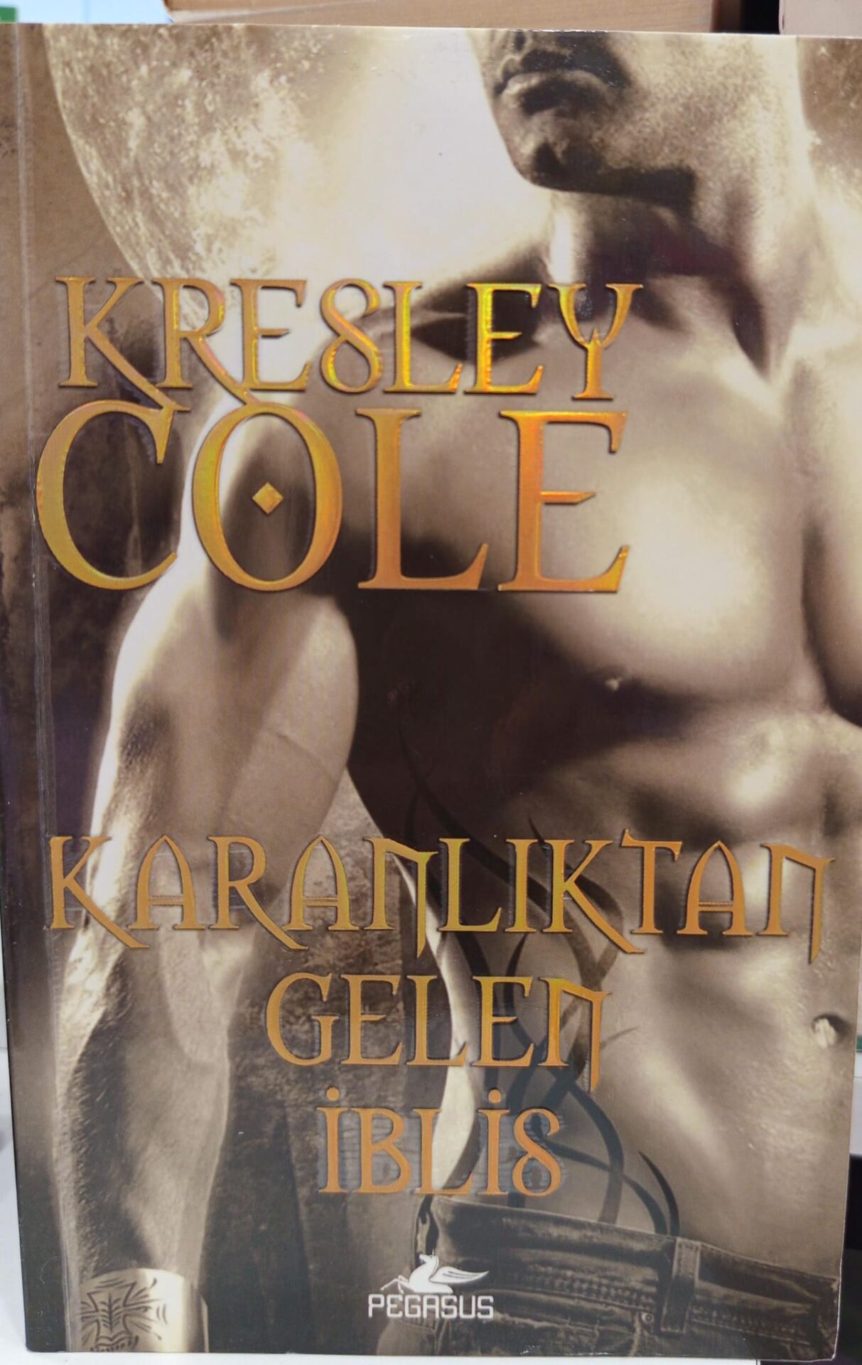 Karanlıktan Gelen İblis - Kresley Cole