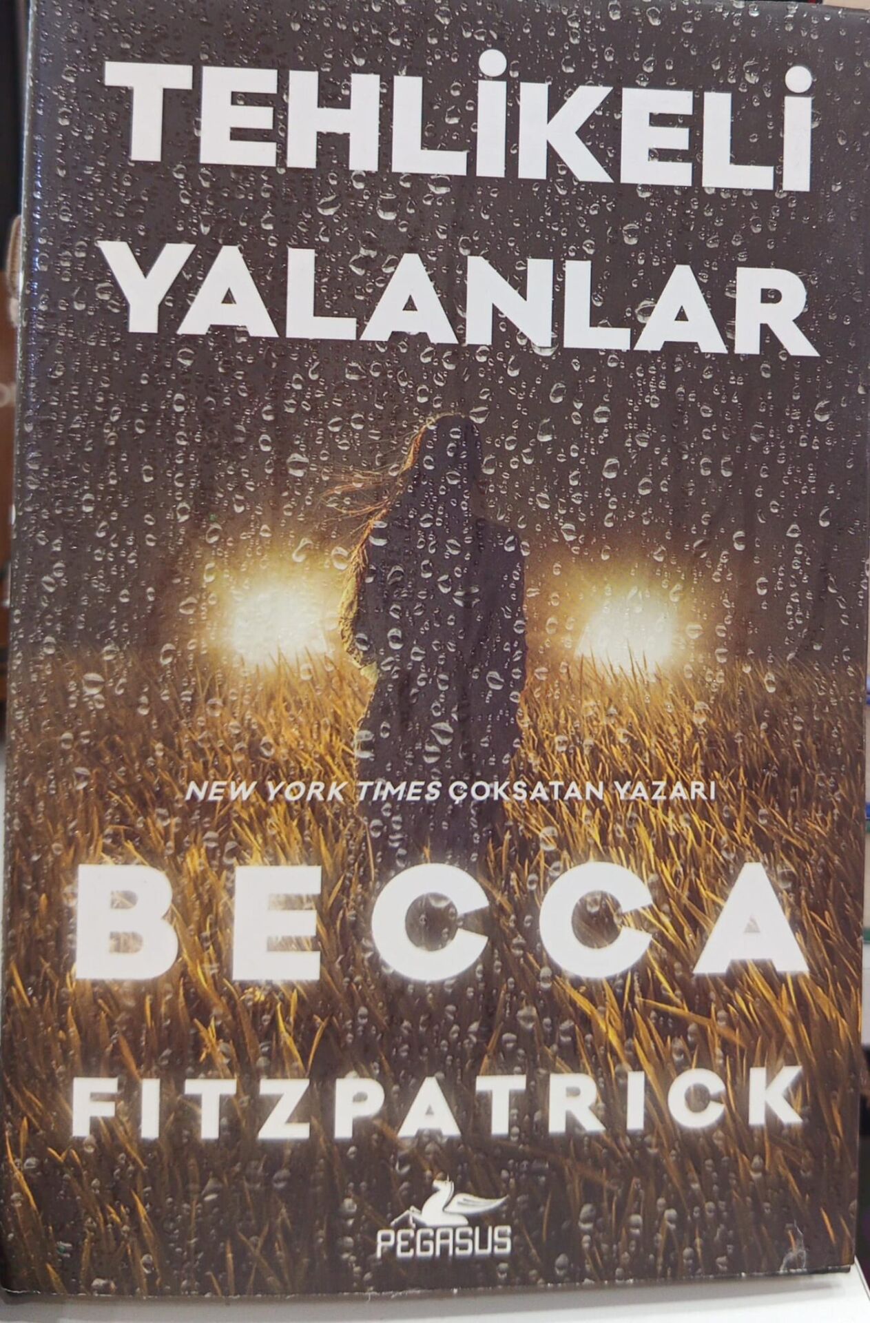 Tehlikeli Yalanlar - Becca Fitzpatrick