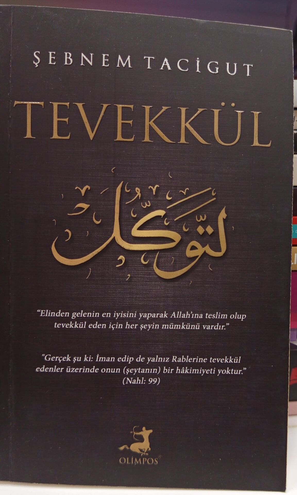 Tevekkül - Şebnem Tacigut